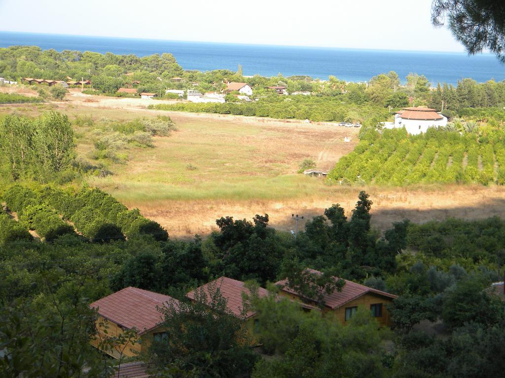 Azra Villas Чирали Номер фото
