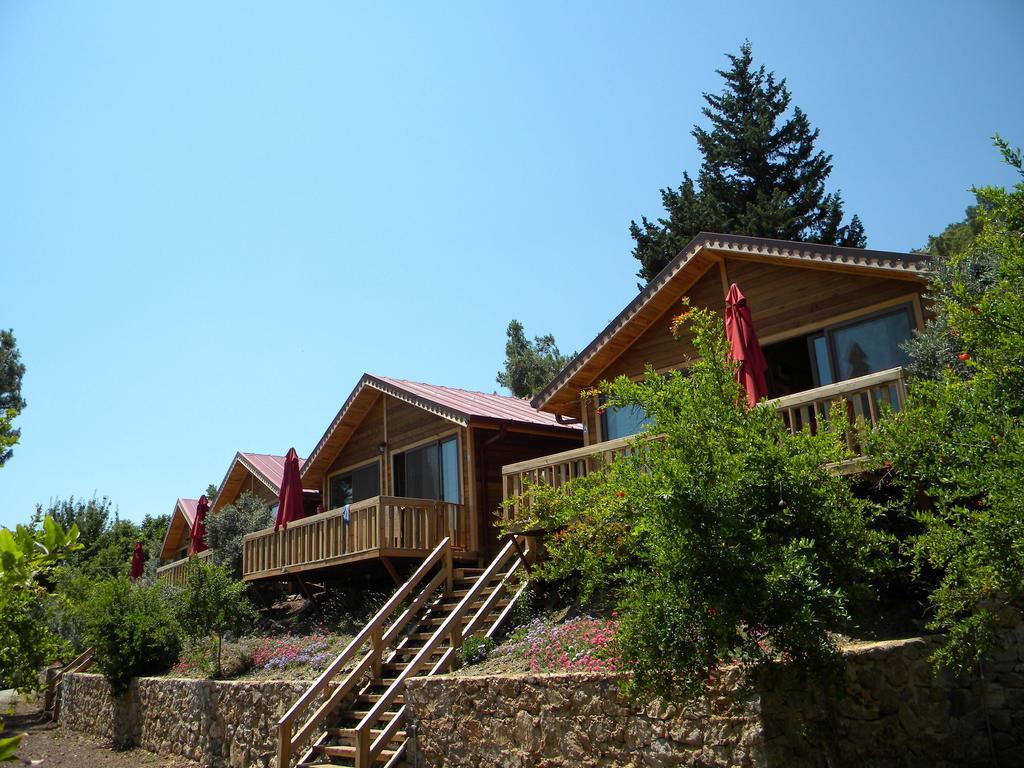 Azra Villas Чирали Номер фото